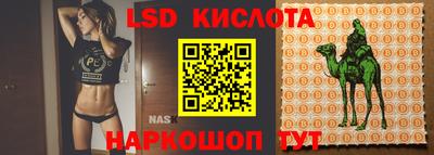 прущие грибы Севастополь