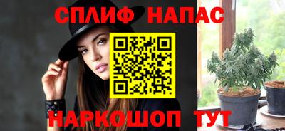 прущие грибы Севастополь