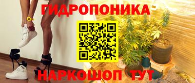 прущие грибы Севастополь