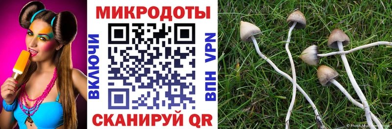 где купить наркотик  кракен как войти  Псилоцибиновые грибы мухоморы  Торжок 