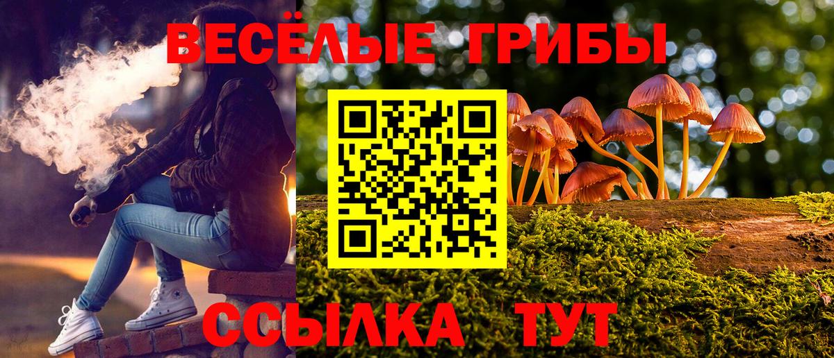 Галлюциногенные грибы Cubensis  Псилоцибиновые грибы GOLDEN TEACHER  Торжок  Вход с VPN 